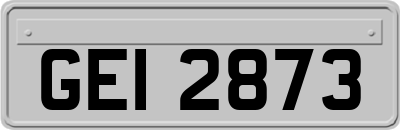 GEI2873