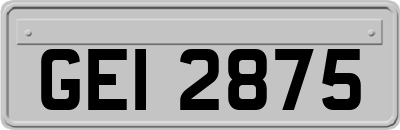 GEI2875