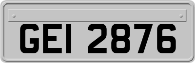 GEI2876