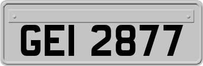 GEI2877