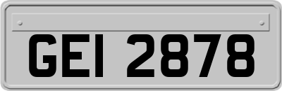 GEI2878