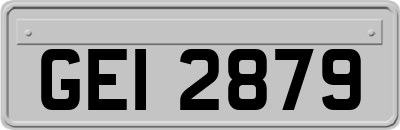GEI2879