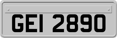 GEI2890