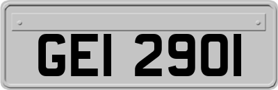 GEI2901
