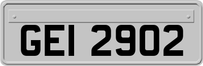 GEI2902