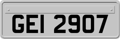 GEI2907
