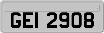 GEI2908