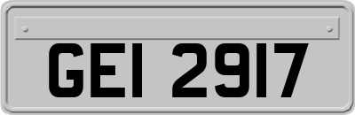 GEI2917