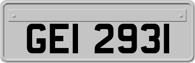 GEI2931
