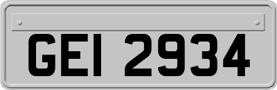 GEI2934