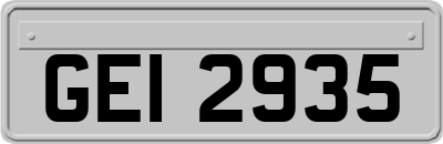 GEI2935