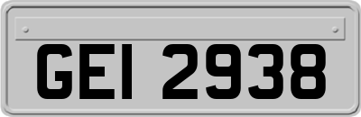 GEI2938