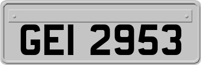 GEI2953