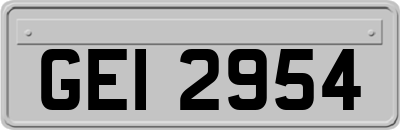 GEI2954