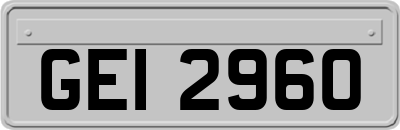 GEI2960