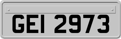 GEI2973