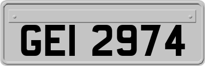 GEI2974