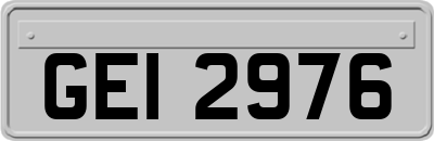 GEI2976
