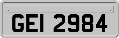 GEI2984