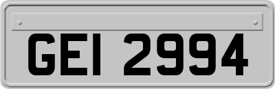 GEI2994