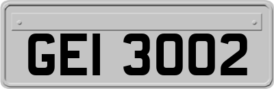 GEI3002