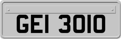 GEI3010
