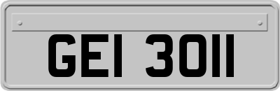 GEI3011