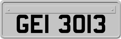 GEI3013