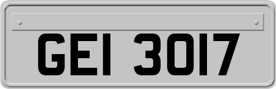 GEI3017