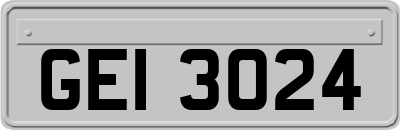 GEI3024