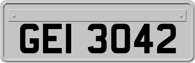 GEI3042