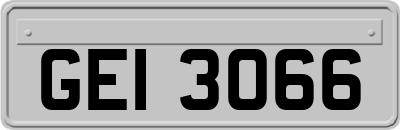 GEI3066