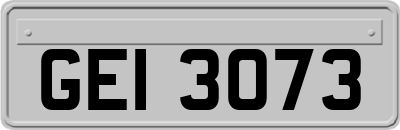 GEI3073