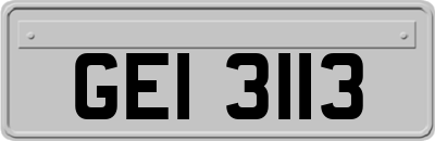 GEI3113