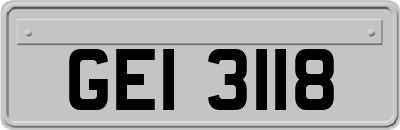 GEI3118