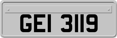 GEI3119