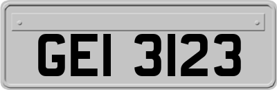 GEI3123