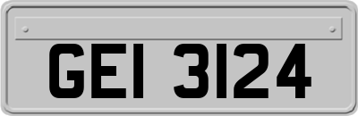 GEI3124