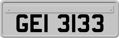 GEI3133
