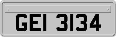 GEI3134