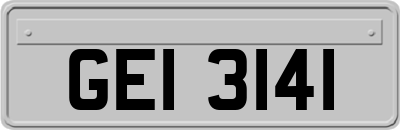 GEI3141