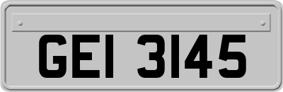 GEI3145