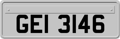 GEI3146