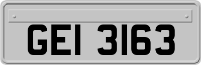 GEI3163