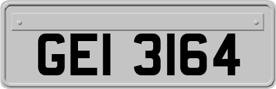 GEI3164
