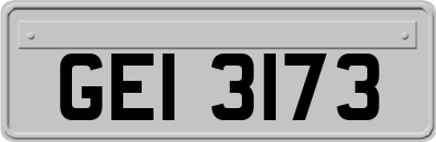GEI3173