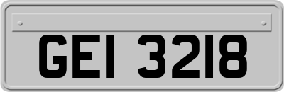 GEI3218