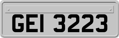 GEI3223