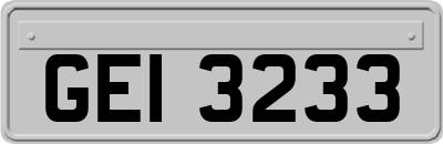 GEI3233
