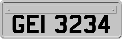 GEI3234